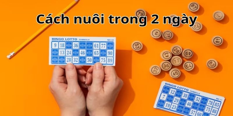 Hướng dẫn cách soi dàn đề nuôi 2 ngày dành cho tân thủ